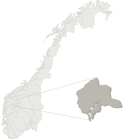 Luster kommunestyre: Kommuneøkonomi. Økonomistyring.