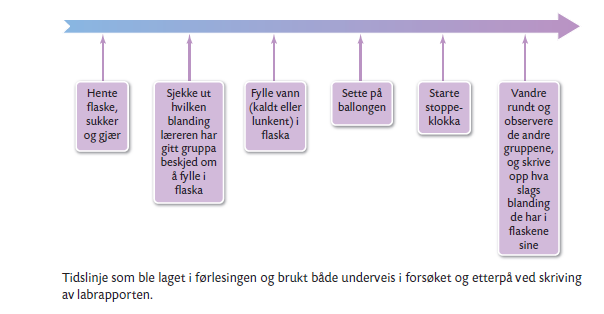 Tidslinje