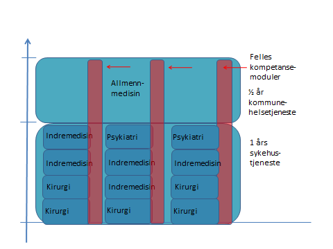 mengdetrening og praktisk erfaring i trygge omgivelser i diagnostikk, behandling og oppfølging av kliniske tilstander.