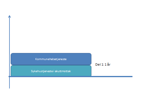 telle i del 2 for kirurgiske spesialiteter, 3 måneder indremedisin for indremedisinske spesialiteter, 3 måneder psykiatri for psykiatriske spesialiteter.