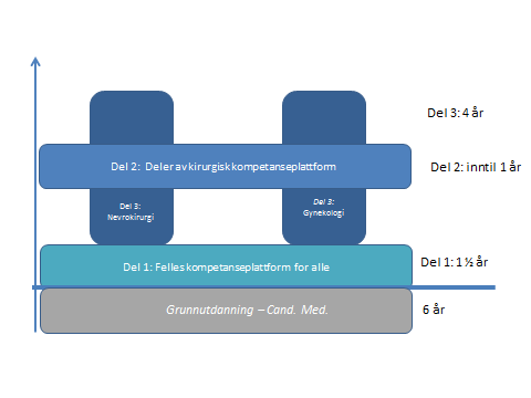 Figur 10.8 Spesialitetsstruktur for andre kirurgiske fag For disse spesialitetene vil den felles kompetanseplattformen i del 2 være mindre enn 2 år.