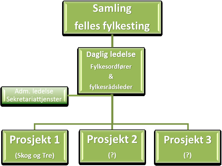 Daglig ledelse Med utgangspunkt i fylkestingenes drøftinger og vedtak er det fylkesordfører i Oppland og fylkesrådsleder i Hedmark sin oppgave å følge opp og gjennomføre det videre samarbeidet.