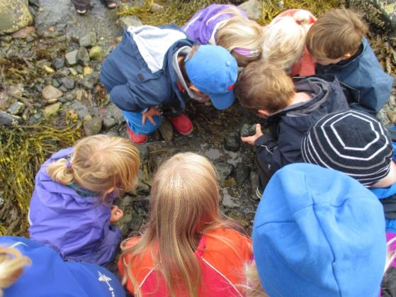 Vurdering og dokumentasjon Ekstern vurdering er en felles vurderingsmetode for alle barnehagene i virksomheten, som skal gjennomføre hvert 3. år i alle barnehager.