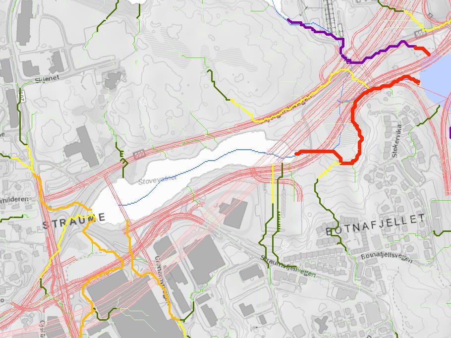 Figur 4.10. Hovedflomveier (farger) for Straume. Blå piler viser flomretning. Figur 4.