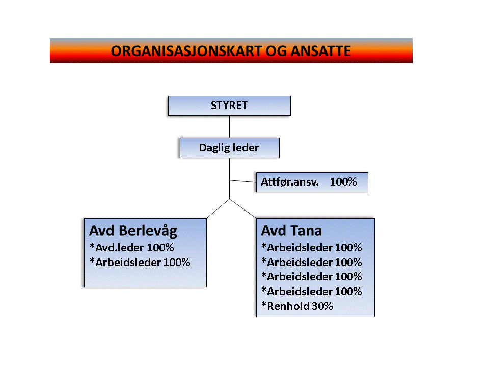 Optimale markedspriser Kvalitets og forbedringskultur Allianser, samarbeidsavtaler og nettverk Kreativitet og skaperkraft Gjennomføre kompetanseutvikling i partnerskap med andre attføringsbedrifter i