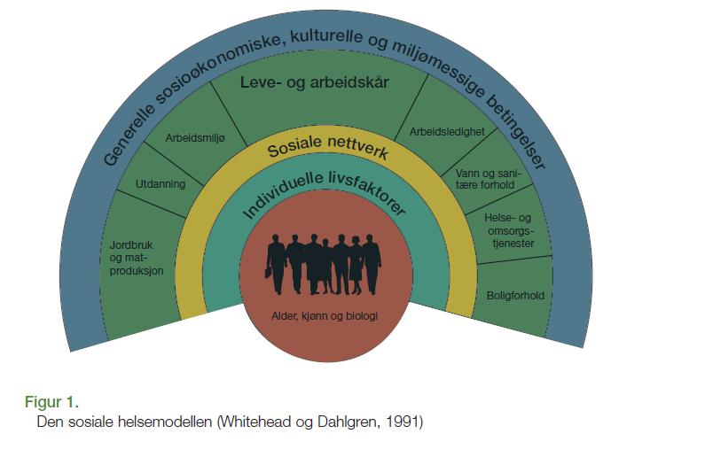 Organisering av oversiktsarbeidet mellom anna med kopling mot Regional plan for folkehelse Opplysningar om helsetilstanden hos innbyggjarane og ulike positive og negative påverkingsfaktorar er