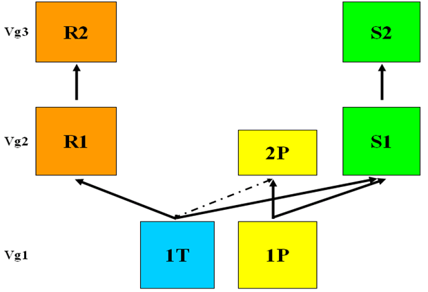 5. Krav til matematikk I figuren nedenfor ser du hvilke matematikkfag skolen tilbyr. 1T og 1P er 5-timers fellesfag, 2P er 3-timers fellesfag og de resterende matematikkfagene er 5-timers programfag.