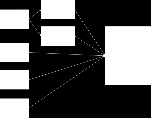 Flytdiagram for hvorfra pasientene ble henvist