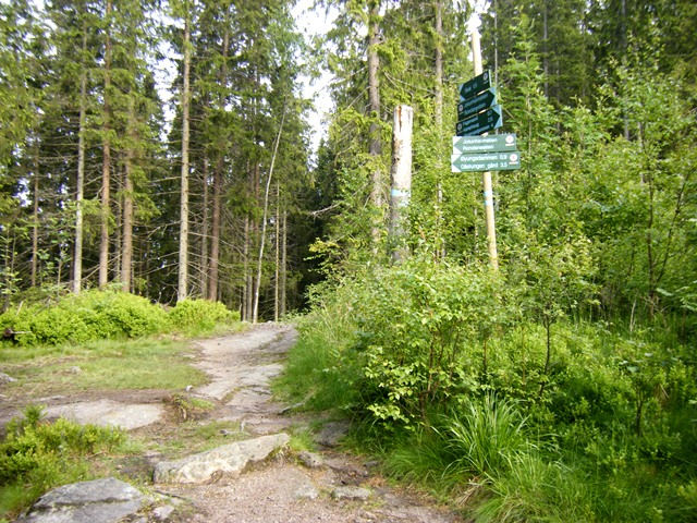 Her fortsetter Rondanestien videre nordover. Det er flott sti langs Fagervann fram til sjekkpunkt 20 i stikrysset nordøst ved vannet. SJEKKPUNKT 20.