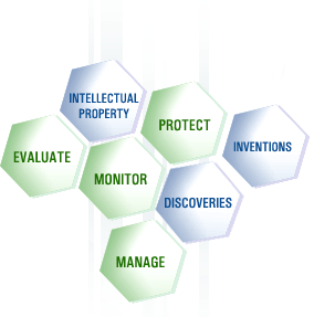 Knowledge Profile / Visibility Financing Product/Market Infrastructure Competence building Technology Management Entrepreneurs hip and commercialisation R&D Innovation IP Markets and application