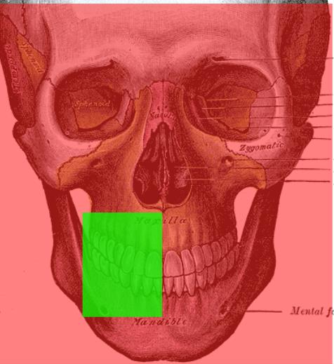 Min- og maksdoser for noen CBCT på det norske markedet Fullstatus - sirkulær tubus Fullstatus - rektangulær tubus OPG (4-30 μsv) Kilde for CBCT-doser: Rottke,