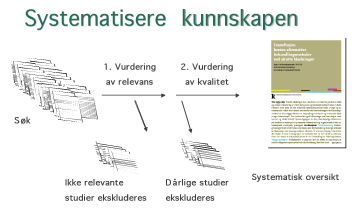 Fig 1: Skjematisk kan prosessen for kunnskapsoppsummering beskrives slik.