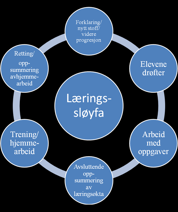 tilpasset opplæring i fellesskapet LOV (Læring og vurdering med vekt på læringssløyfa,