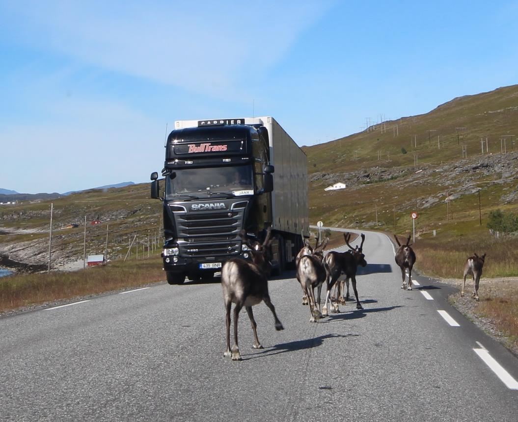 Utfordringer for veger i Finnmark Framkommelighet for næringslivet Flaskehalser Variabel standard og