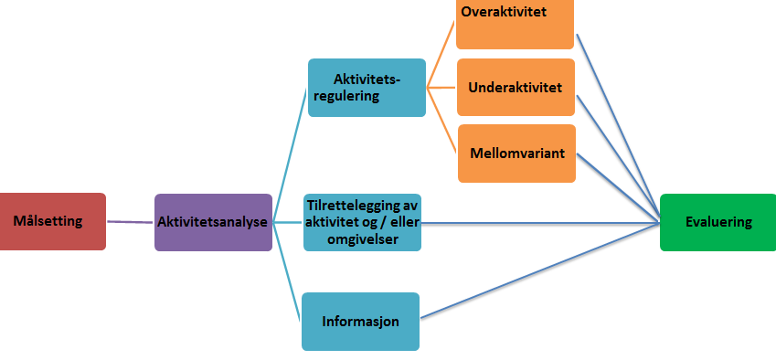 Praksisbeskrivelse pr