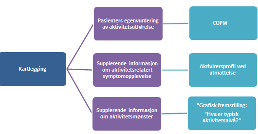 Praksisbeskrivelse pr