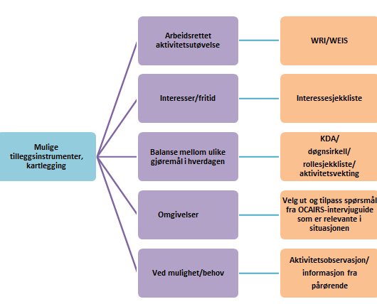 Praksisbeskrivelse pr