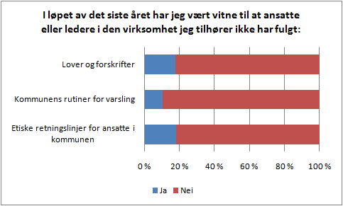 Observasjon Beskrivelse Konsekvens Anbefaling Ledelsens