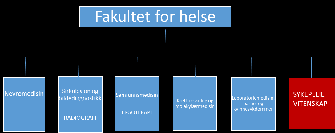 13 av 25 Figur 2 Fakultet E: Modell 2 Rød boks= Nytt institutt for sykepleievitenskap Avdelingens bekymring når det gjelder denne modellen er at den vil bryte med flere av de prinsippene som vi har