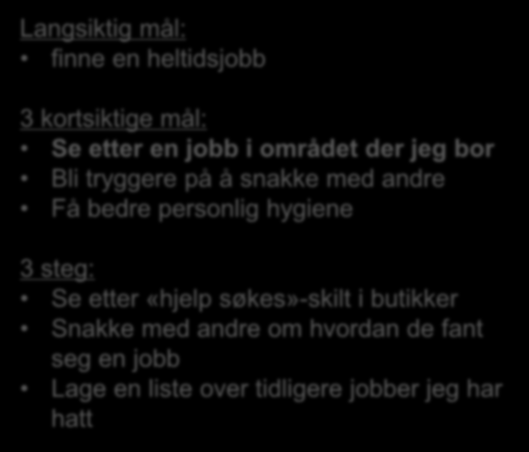 Langsiktig mål: finne en heltidsjobb 3 kortsiktige mål: Se etter en jobb i området der jeg bor Bli tryggere på å snakke med andre Få bedre personlig