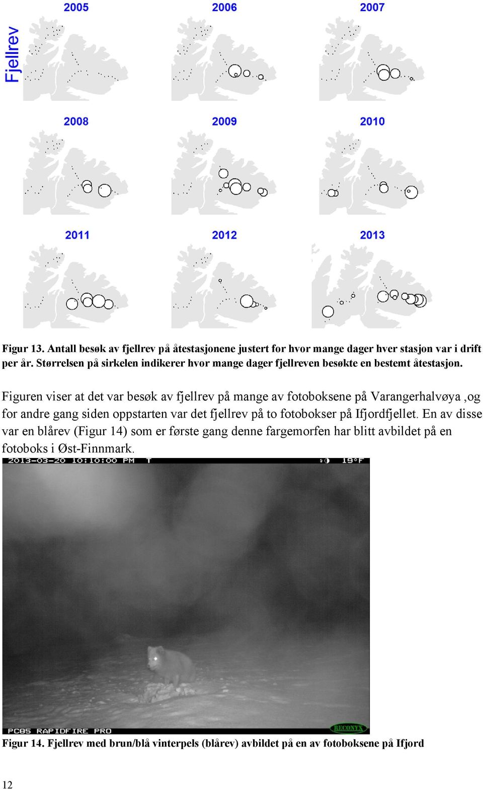 Figuren viser at det var besøk av fjellrev på mange av fotoboksene på Varangerhalvøya,og for andre gang siden oppstarten var det fjellrev på to