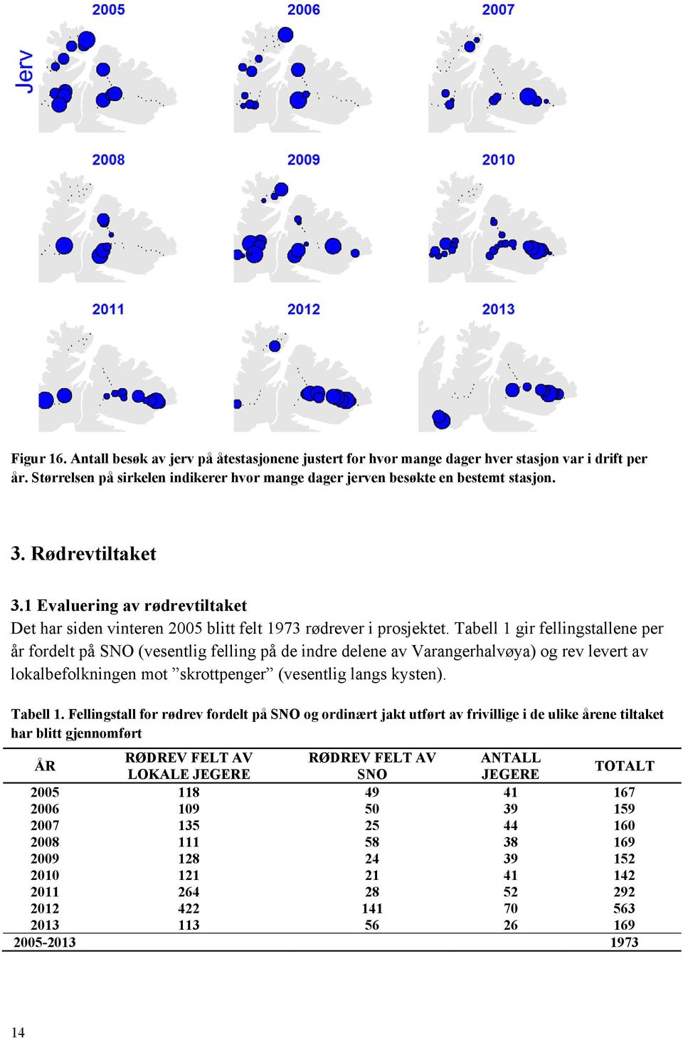 Tabell 1 gir fellingstallene per år fordelt på SNO (vesentlig felling på de indre delene av Varangerhalvøya) og rev levert av lokalbefolkningen mot skrottpenger (vesentlig langs kysten). Tabell 1.