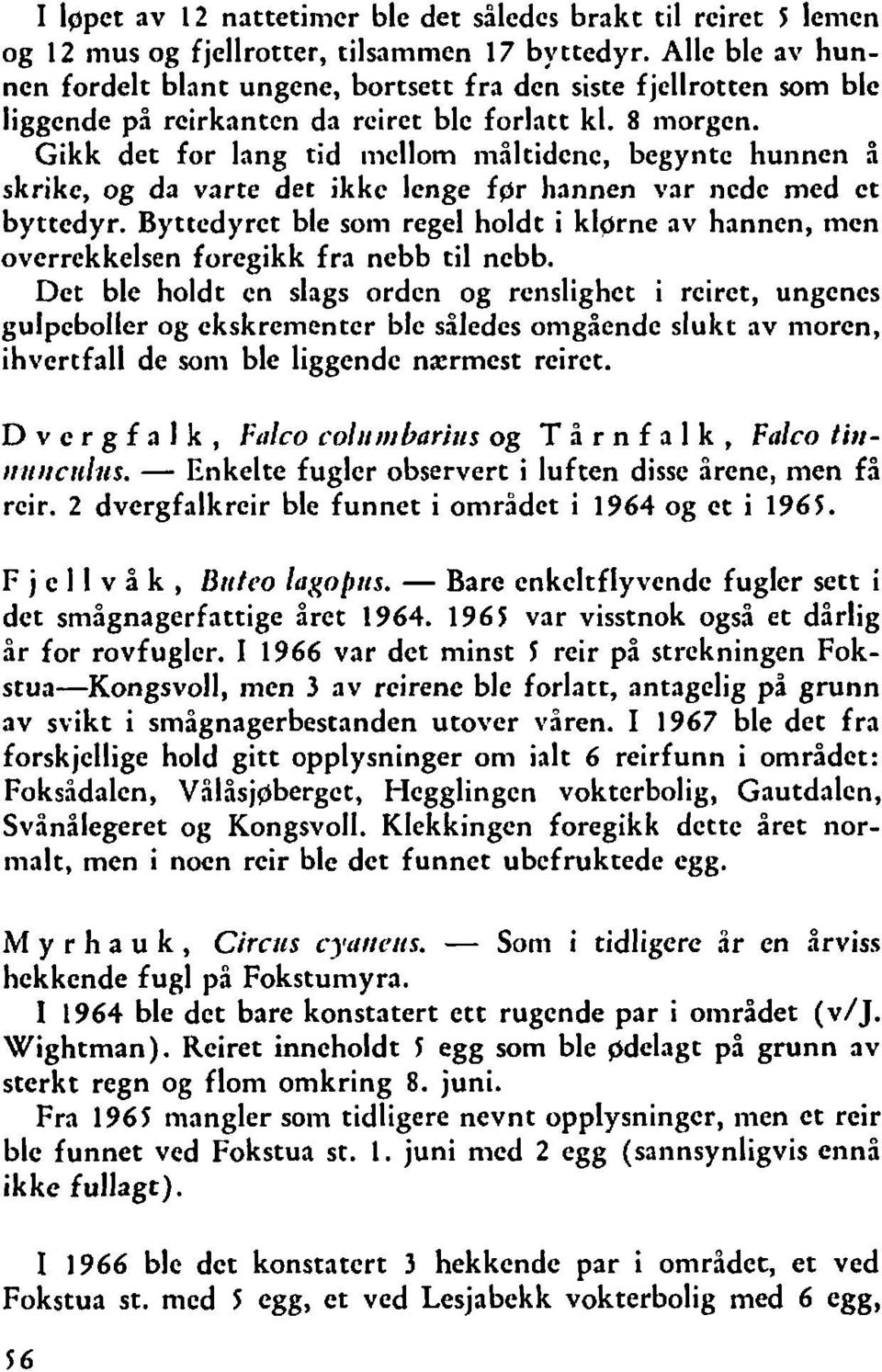 Gikk det for lang tid iiicllom iiiåltidcnc, begynte hunnen i skrike, og da varte det ikkc lenge fgr hannen var nede med et byttedyr.