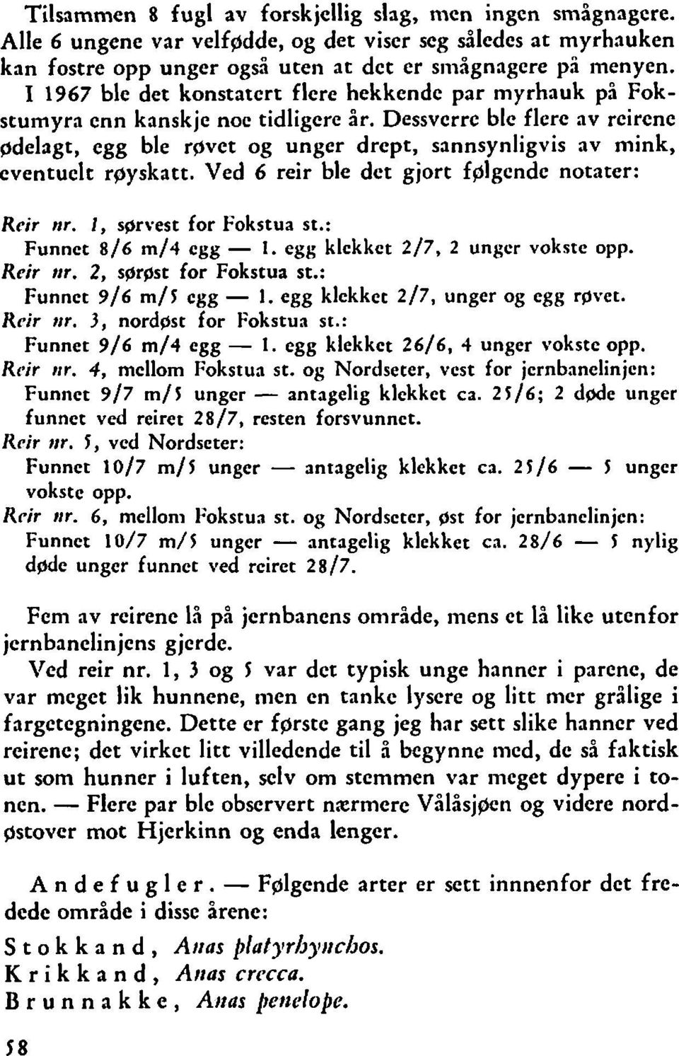 Dessvcrrc blc flerc av rcircne gdelagt, egg ble rovet og unger drept, sannsynligvis av mink, eventuelt rgyskatt. Ved 6 reir ble dct gjort fglgcndc notater: Reir nr. l, sgrvest for Fokstua st.