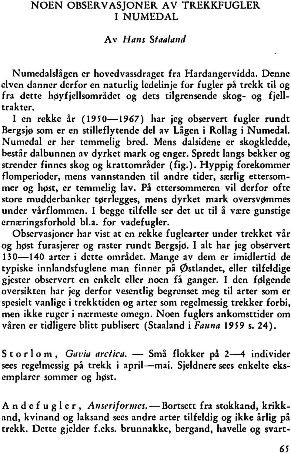 I en rekke år (1950-1967) har jeg observert fugler rundt Bergsjp som er en stilleflytende del av Lågen i Rollag i Numedal. Numedal er her temmelig bred.