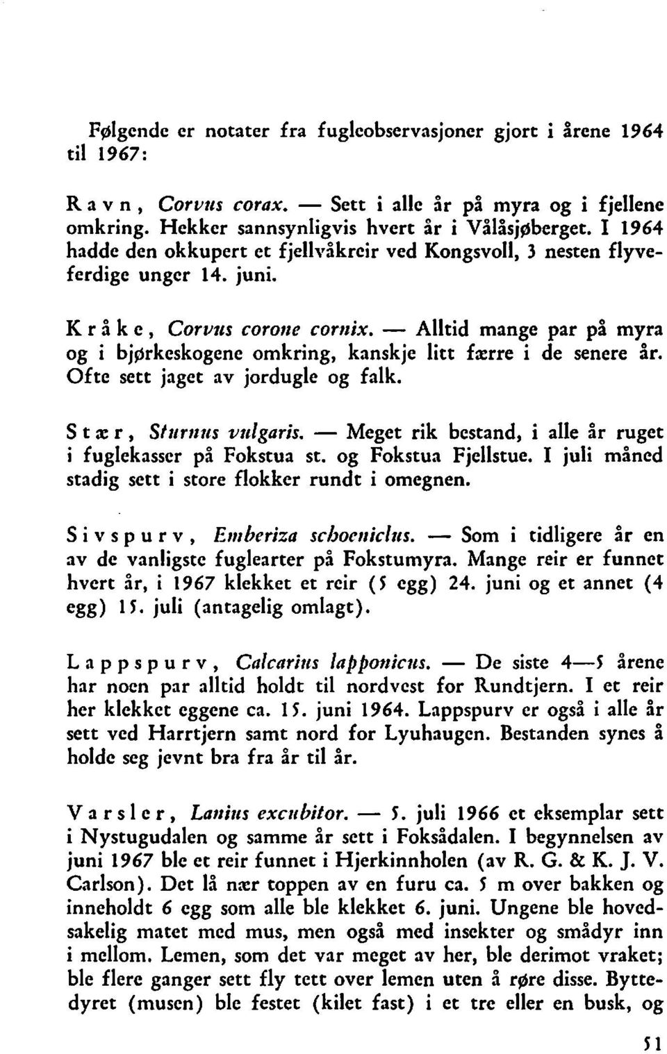 - Alltid mange par på myra og i bjgrkeskogene omkring, kanskje litt færre i de senere år. Ofte sett jaget av jordugle og falk. S t ae r, Stlirrrrrs vttlgaris.