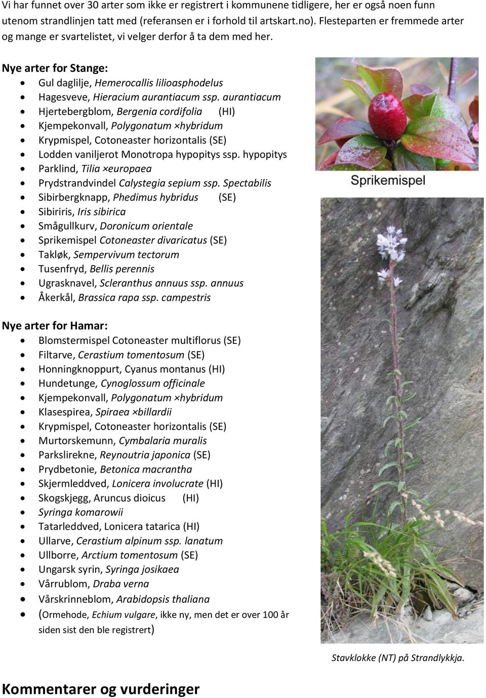 aurantiacum Hjertebergblom, Bergenia cordifolia (HI) Kjempekonvall, Polygonatum hybridum Krypmispel, Cotoneaster horizontalis (SE) Lodden vaniljerot Monotropa hypopitys ssp.