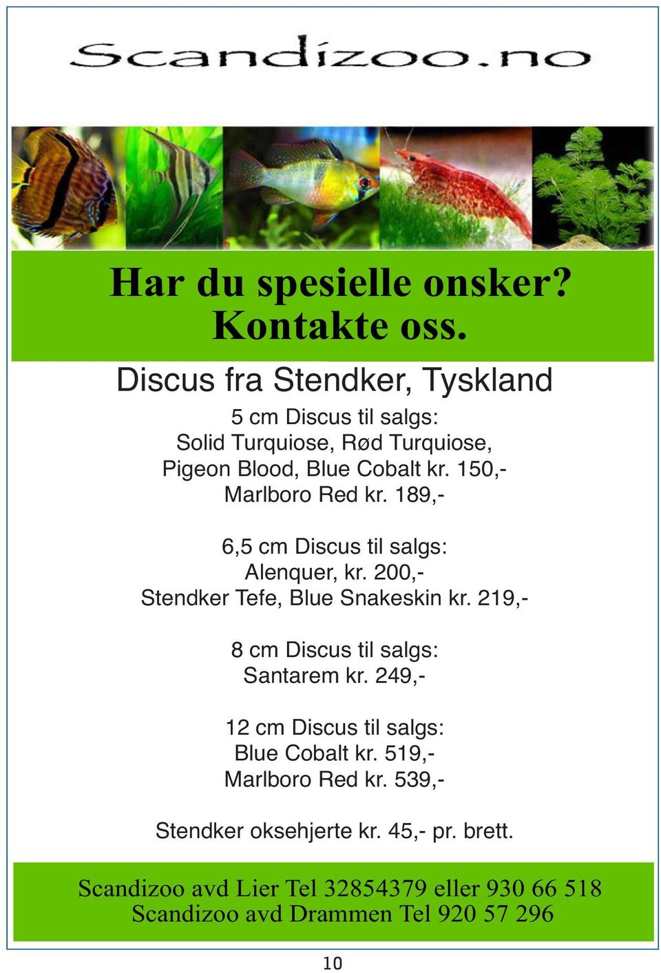 - Turquiose, pr stk (25+ på lager) Apistogramma Pigeon Blood, Nijsseni Blue kr 75,- Cobalt pr stk (50+ kr. 150,- på lager) Mikrogeophagus Marlboro Ramirezi Red kr. Kr 189,- 170.