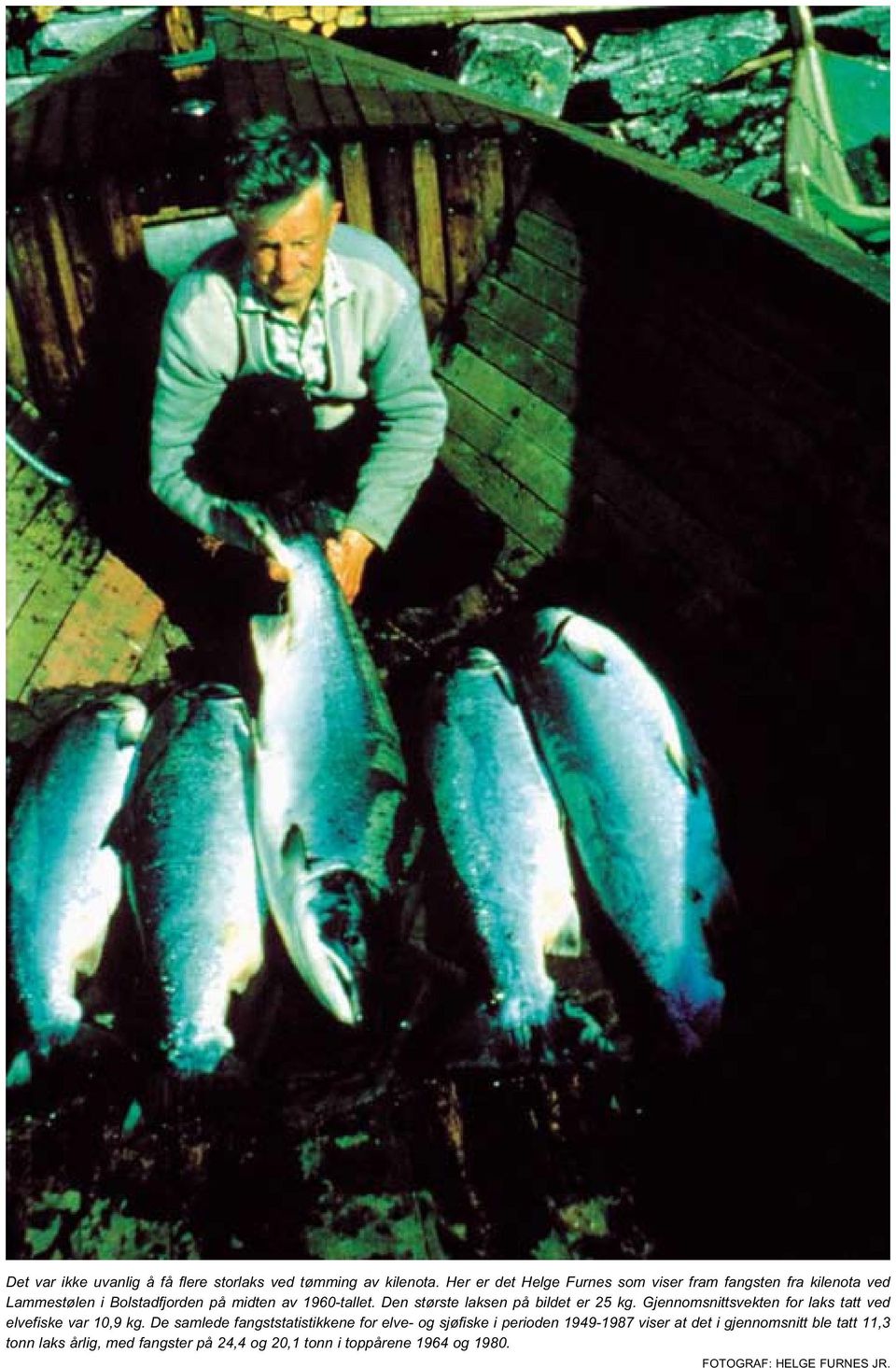 Den største laksen på bildet er 25 kg. Gjennomsnittsvekten for laks tatt ved elvefiske var 1,9 kg.