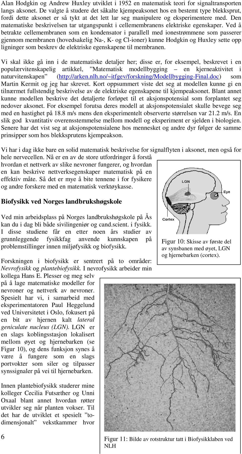 Den matematiske beskrivelsen tar utgangspunkt i cellemembranens elektriske egenskaper.