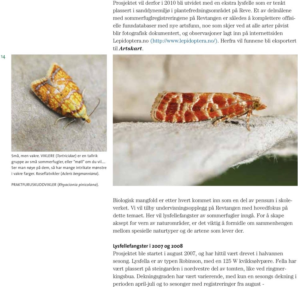 observasjoner lagt inn på internettsiden Lepidoptera.no (http://www.lepidoptera.no/). Herfra vil funnene bli eksportert til Artskart. Små, men vakre.