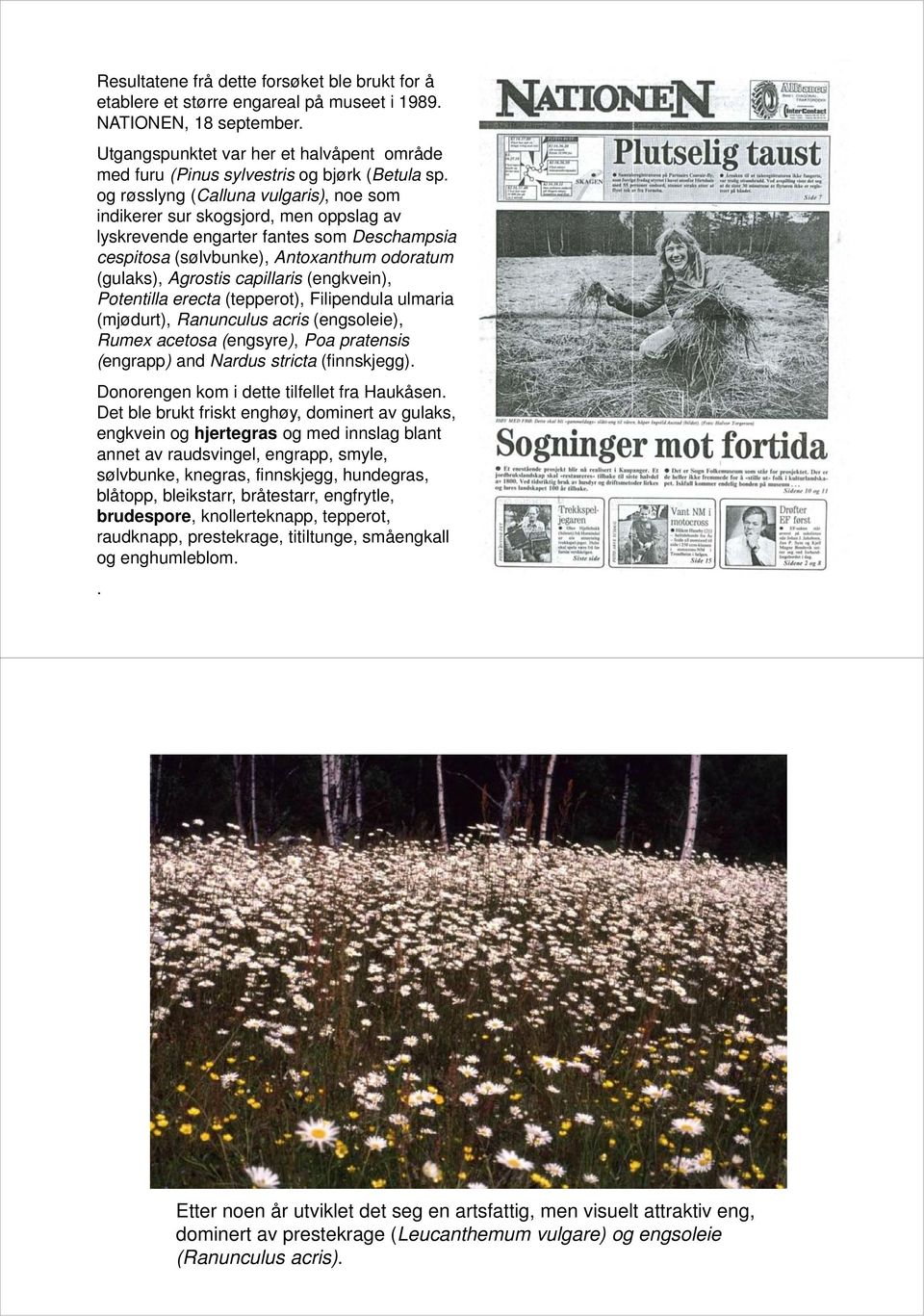 og røsslyng (Calluna vulgaris), noe som indikerer sur skogsjord, men oppslag av lyskrevende engarter fantes som Deschampsia cespitosa (sølvbunke), Antoxanthum odoratum (gulaks), Agrostis capillaris
