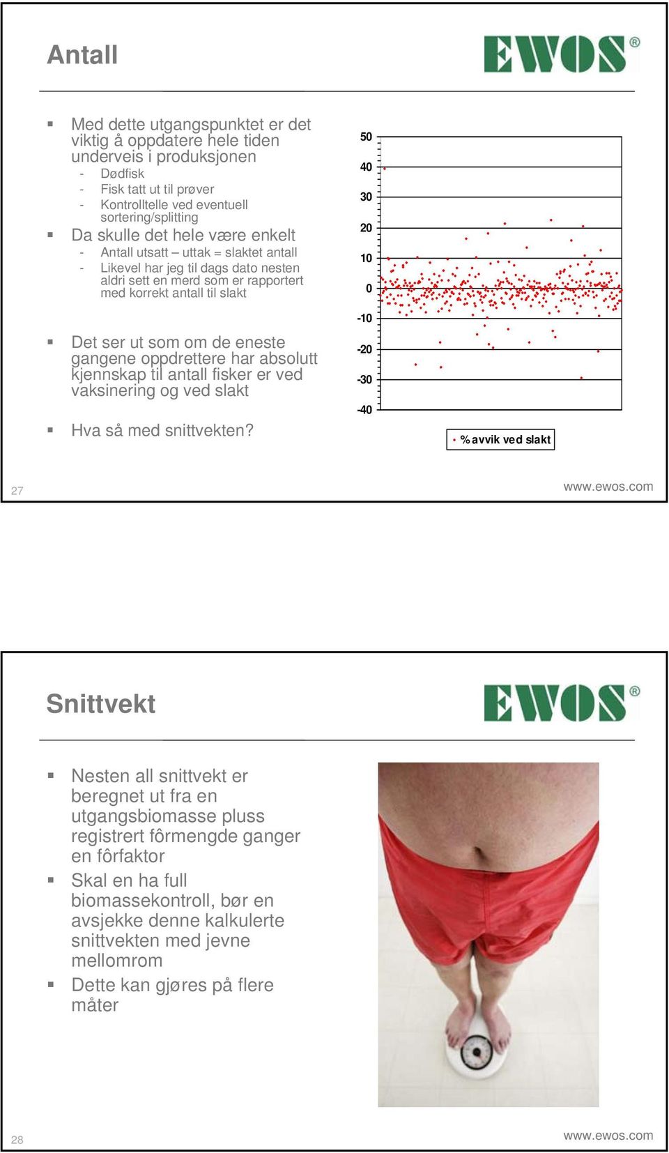 oppdrettere har absolutt kjennskap til antall fisker er ved vaksinering og ved slakt Hva så med snittvekten? 5 4 3 2 1-1 -2-3 -4 % avvik ved slakt 27 www.ewos.