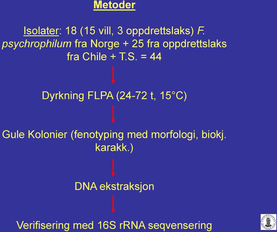 = 44 Dyrkning FLPA (24-72 t, 15 C) Gule Kolonier (fenotyping med