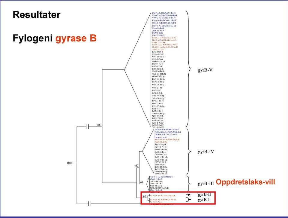 Dn90-38-Rt-Sp Sp91-30-Rt-L Ta91-1-As-EF Fr99-45-Rt-Sp Sw93-22-Rt-Sp Gr87-16-Ee-K Ch09-13-As-W Fr92-6-Te-K Ch08-17-Rt-E NCIMB1947-Us-Cs-K No09-27-As-SK Ch96-51-Rt-Sp Ch10-15-As-F;NCIMB1947