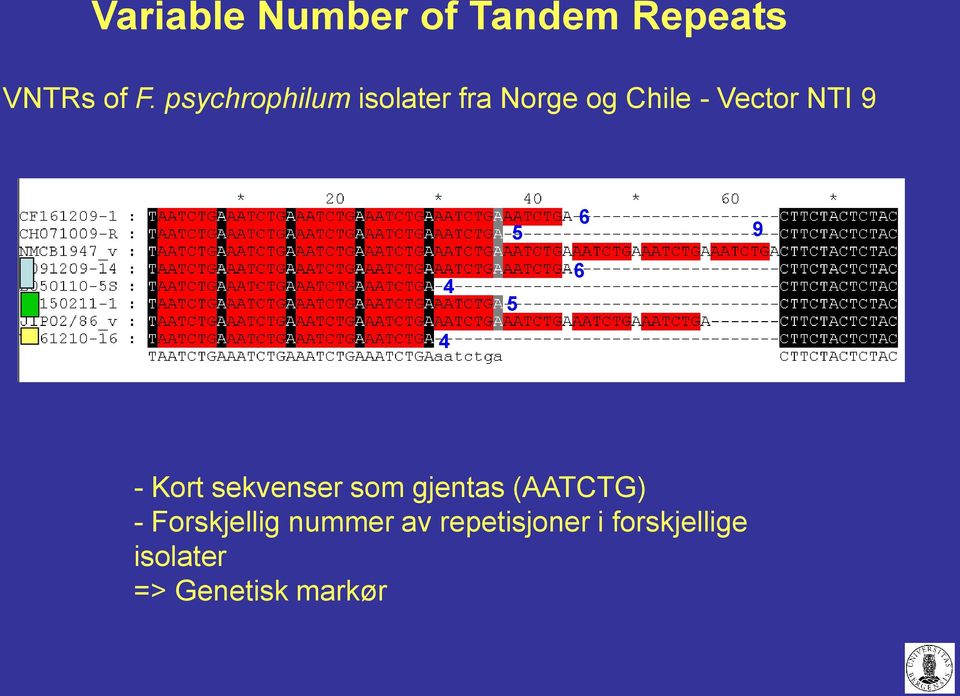 6 9 4 4 5 6 - Kort sekvenser som gjentas (AATCTG) -