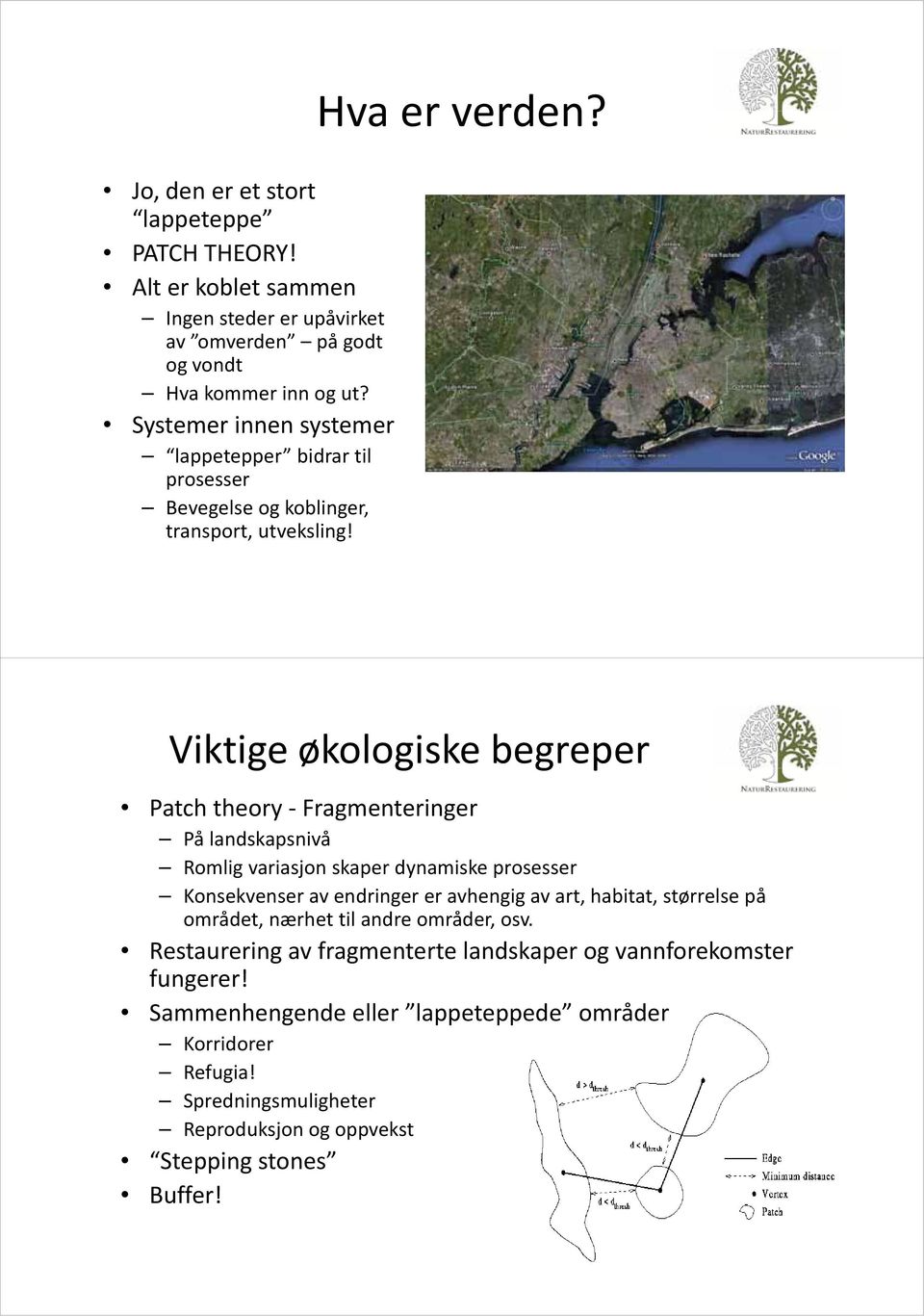 Viktige økologiske begreper Patch theory Fragmenteringer På landskapsnivå Romlig variasjon skaper dynamiske prosesser Konsekvenser av endringer er avhengig av art, habitat,