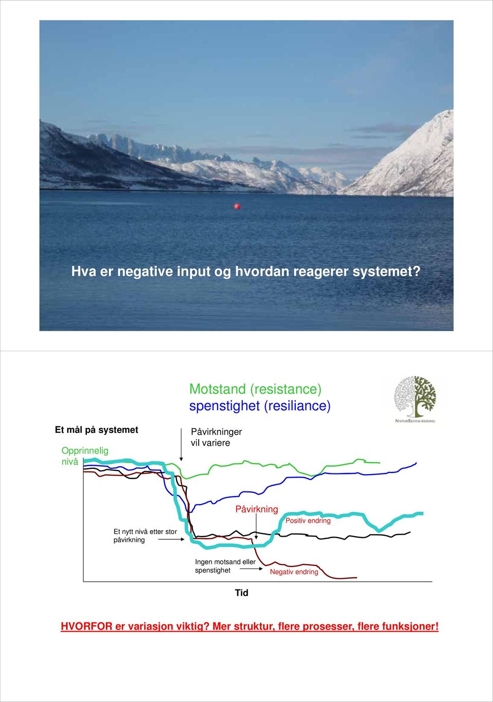 Påvirkninger vil variere Et nytt nivå etter stor påvirkning Påvirkning Positiv endring