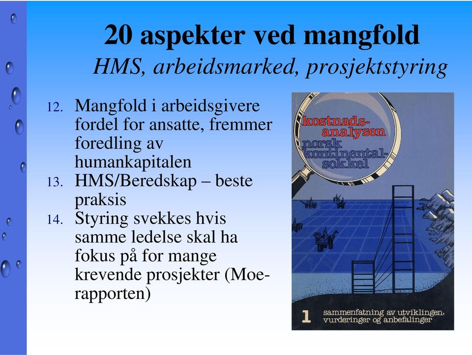 humankapitalen 13. HMS/Beredskap beste praksis 14.