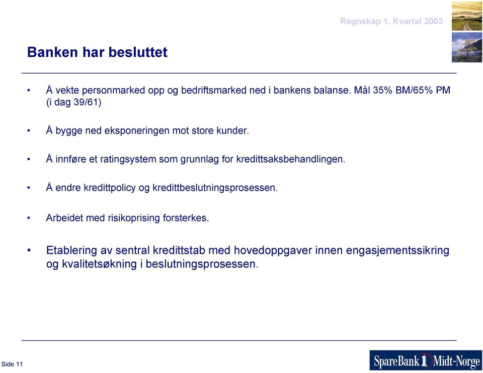 Å innføre et ratingsystem som grunnlag for kredittsaksbehandlingen.