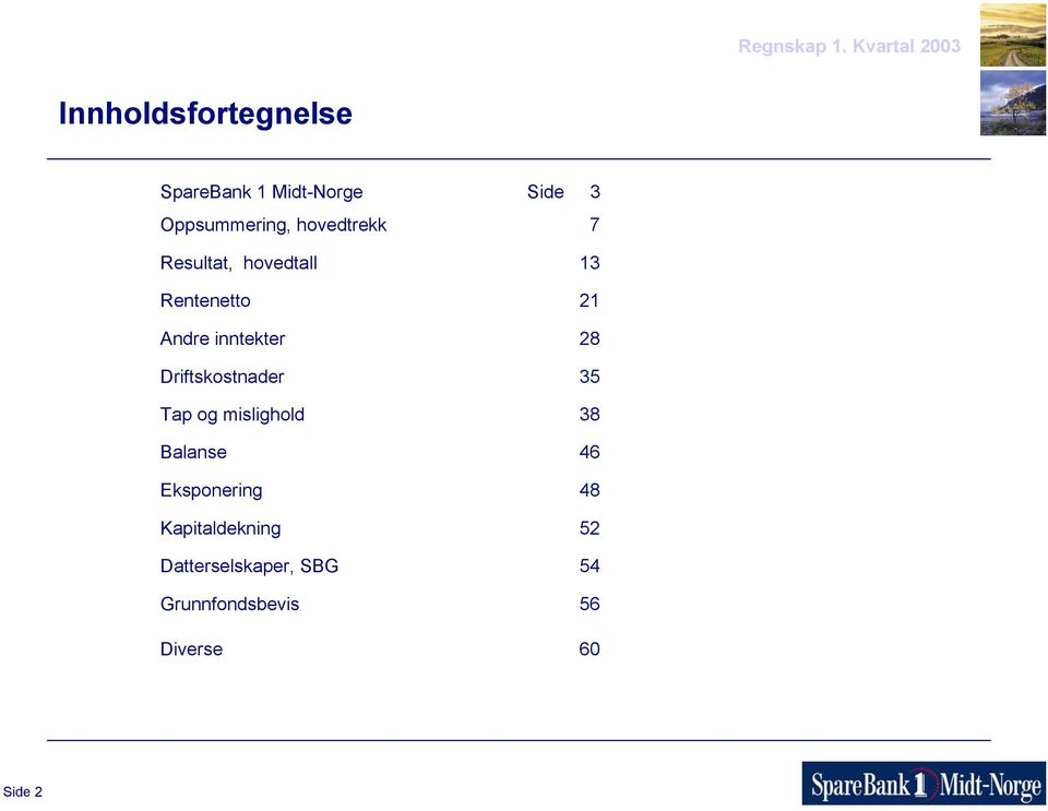 mislighold Balanse Eksponering Kapitaldekning Datterselskaper, SBG