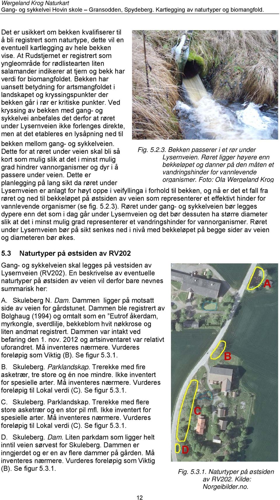 Bekken har uansett betydning for artsmangfoldet i landskapet og kryssingspunkter der bekken går i rør er kritiske punkter.