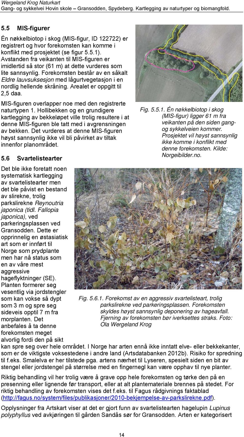 Forekomsten består av en såkalt Eldre lauvsuksesjon med lågurtvegetasjon i en nordlig hellende skråning. Arealet er oppgitt til 2,5 daa. MIS-figuren overlapper noe med den registrerte naturtypen 1.