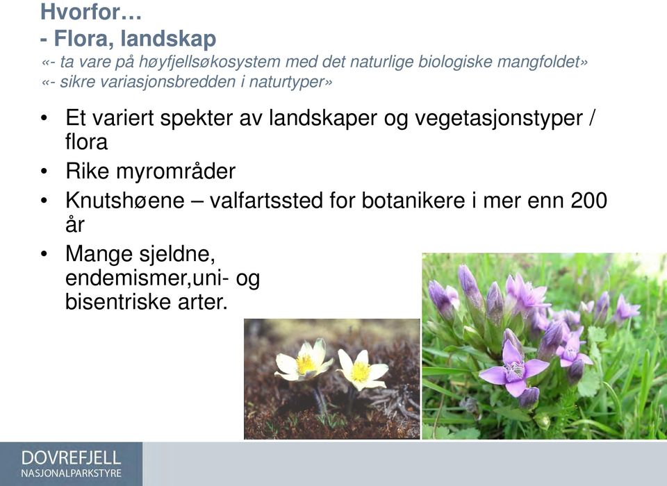 spekter av landskaper og vegetasjonstyper / flora Rike myrområder Knutshøene