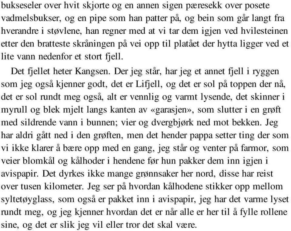 Der jeg står, har jeg et annet fjell i ryggen som jeg også kjenner godt, det er Lifjell, og det er sol på toppen der nå, det er sol rundt meg også, alt er vennlig og varmt lysende, det skinner i