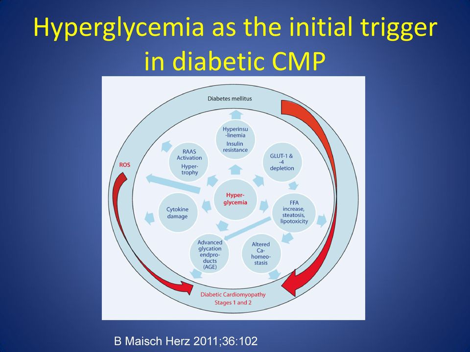 in diabetic CMP B